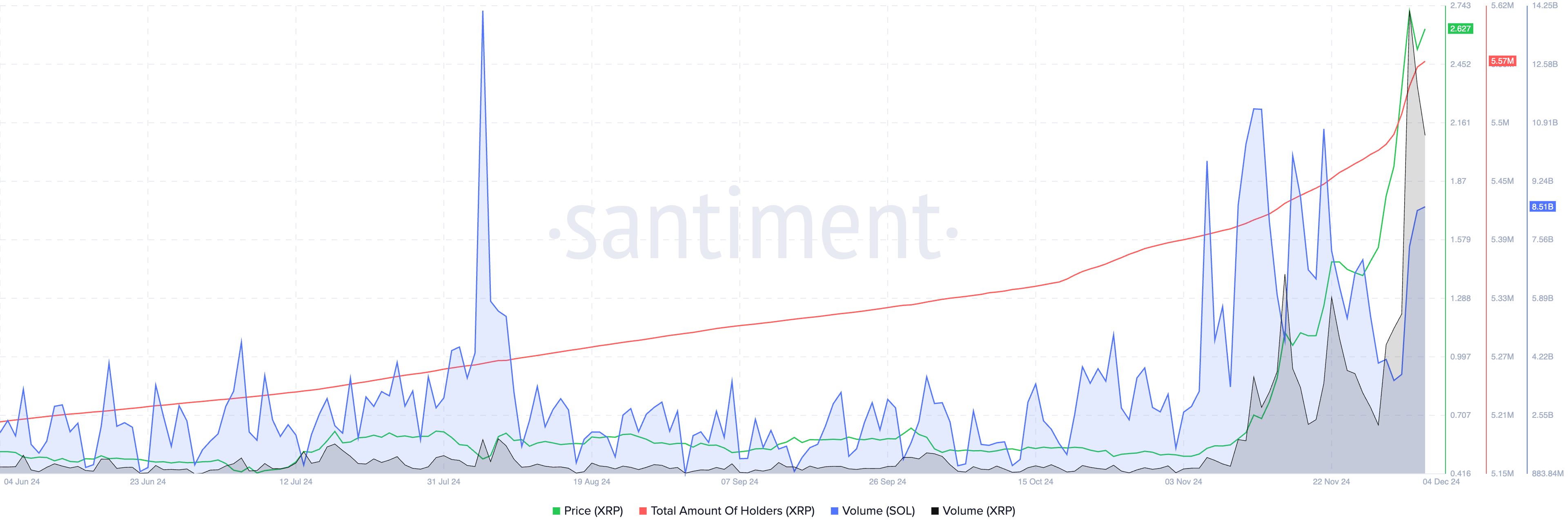 XRP total number of holders